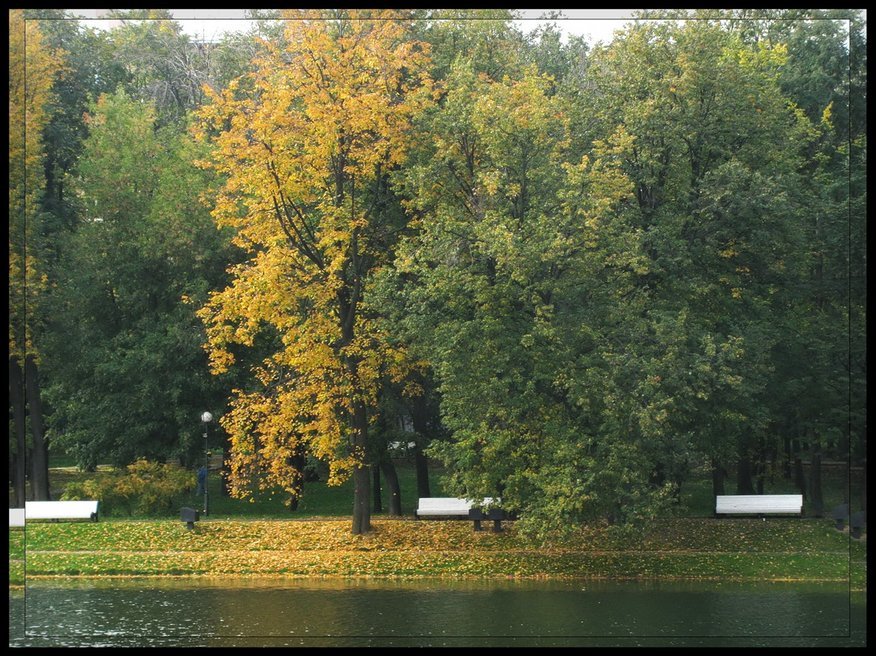 Екатерининский парк. Осень. - Татьяна Беляева