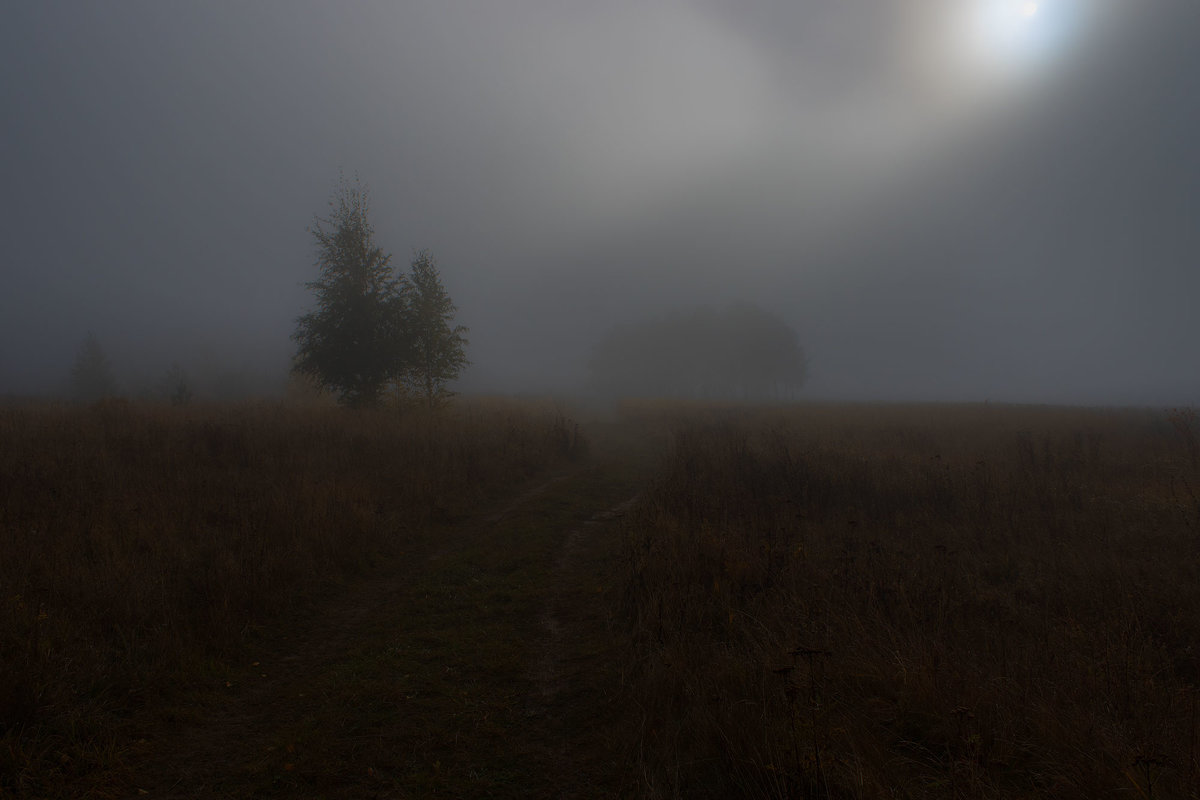Утро в тумане - Мария Курицына