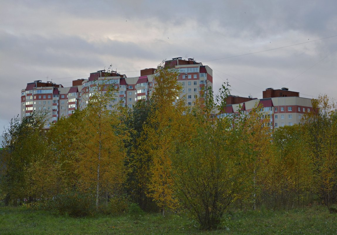 осень в городе - Наталия П