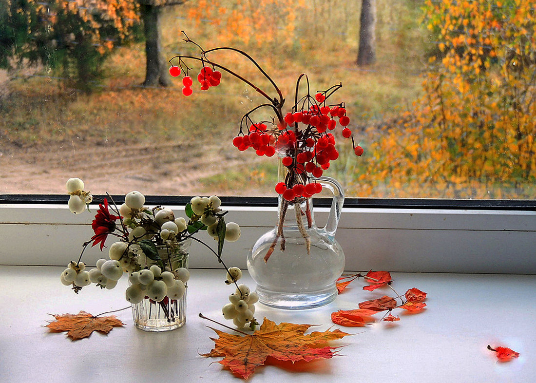 За моим окном осень - Павлова Татьяна Павлова