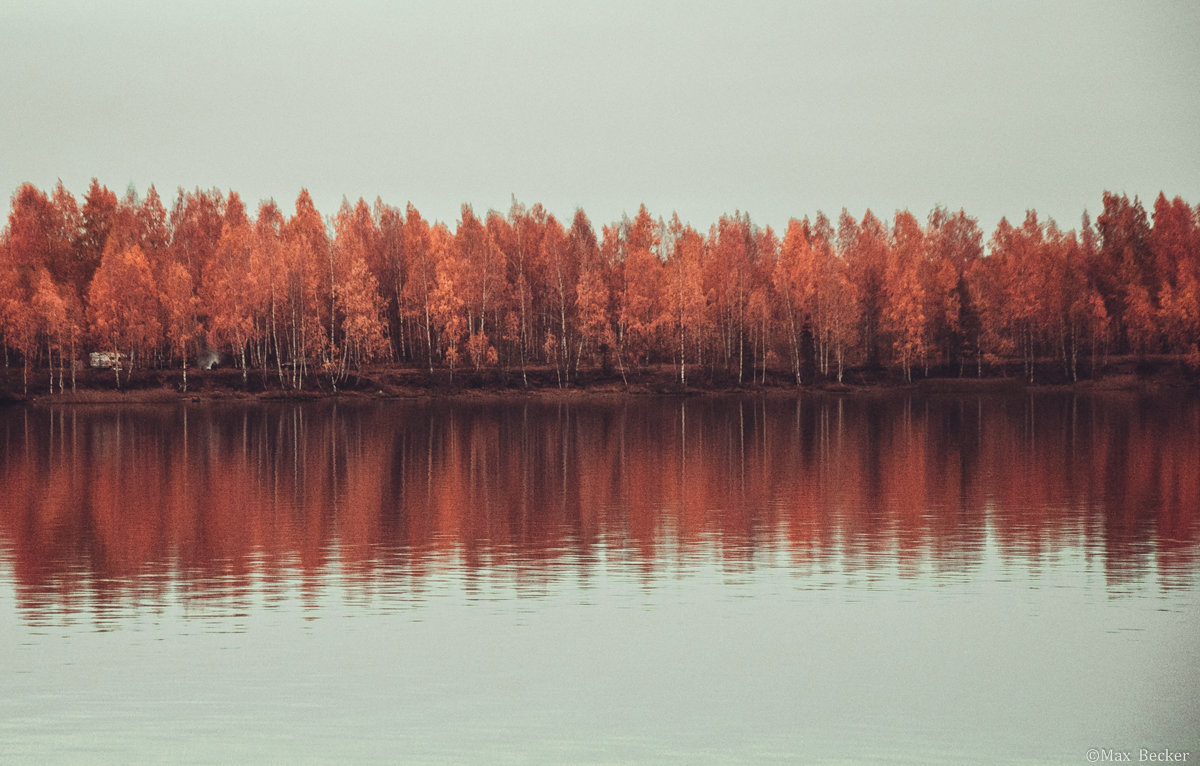 Осень. - Макс Беккер