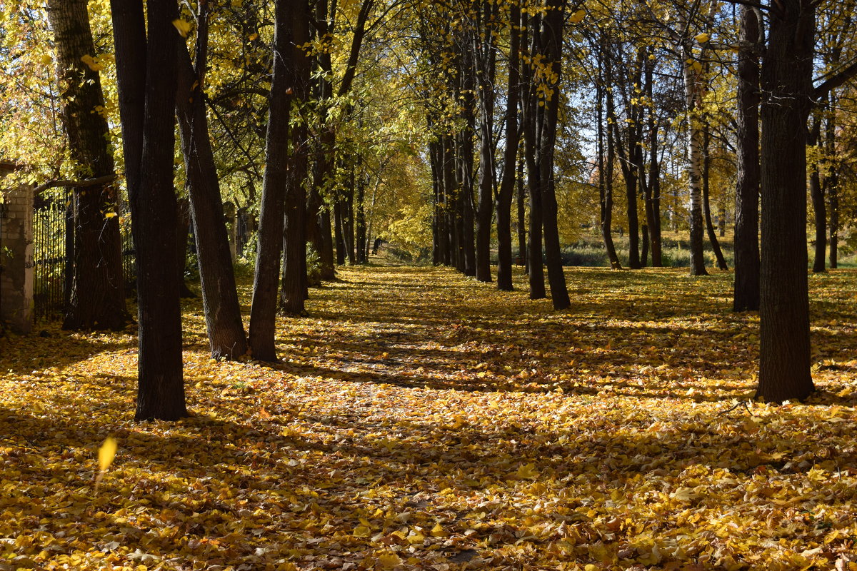Осень в парке - Григорий Вагун*