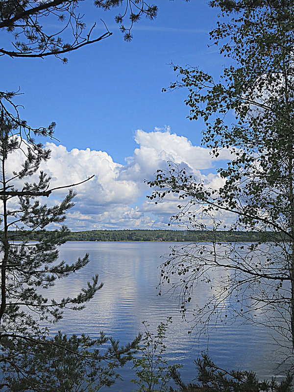 *** - Валентина Жукова