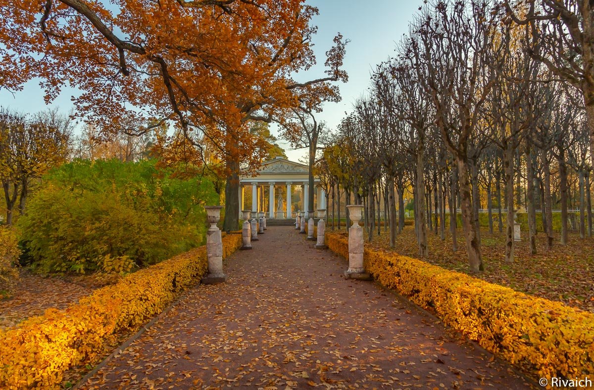 Павловский парк осенью Санкт-Петербург