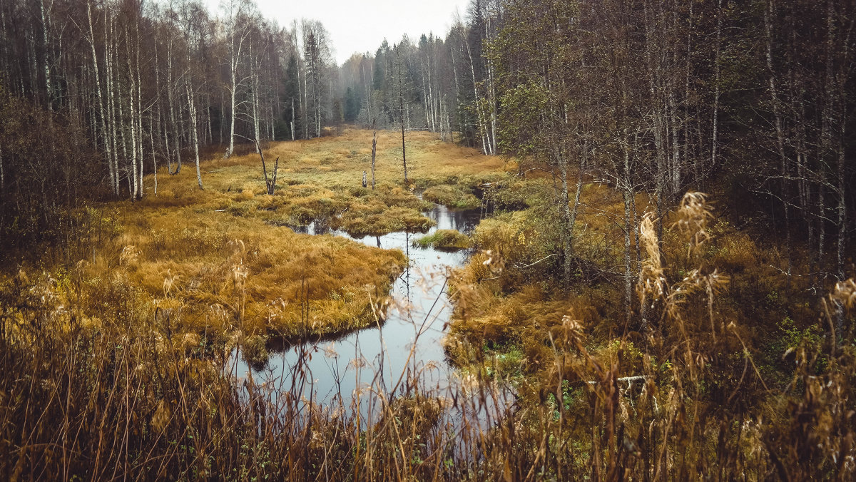 Реки ,речки,ручейки - Паша 