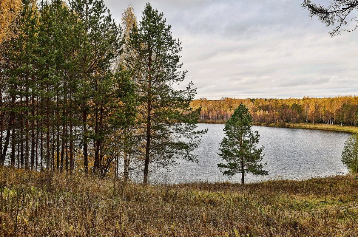 озеро Светлояр - Наталия Кожанова