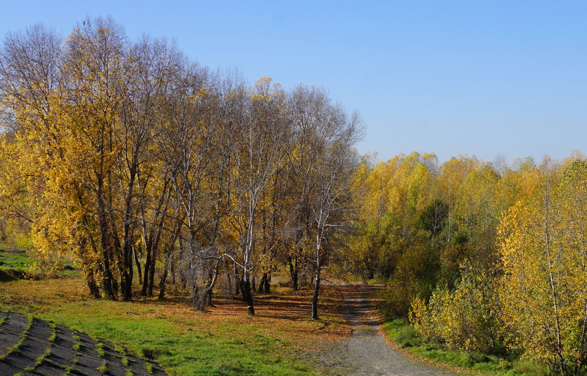 Осень - Наталия Григорьева