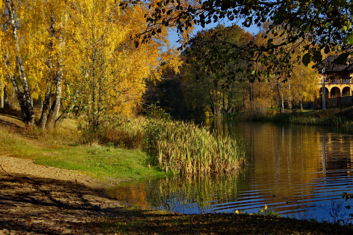 Золотая осень на озере - Олег Пучков