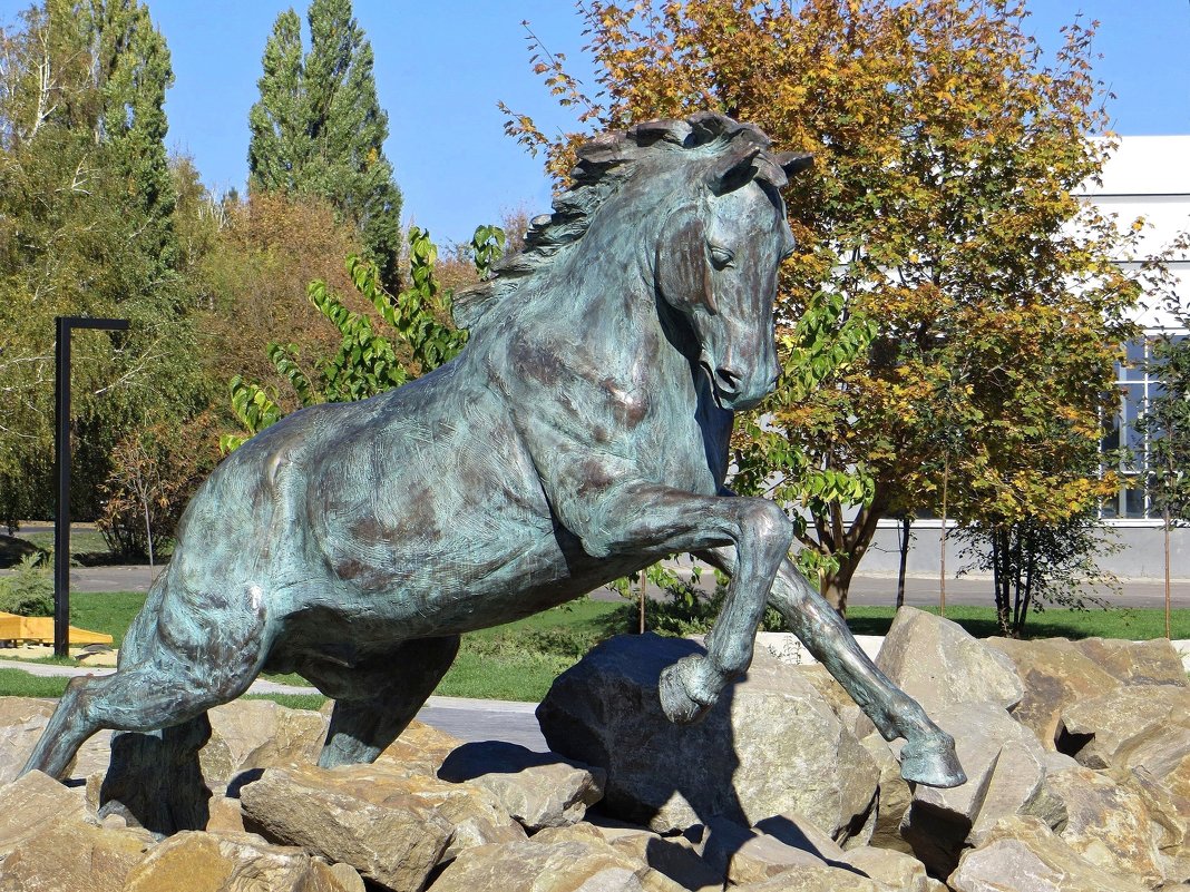 Скачущий конь - это новый символ Ростовской области - Татьяна Смоляниченко