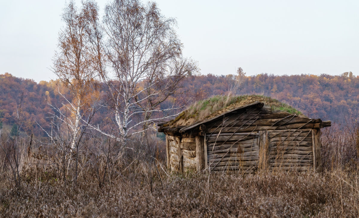 Садовка. Мертвое село - Вера Сафонова