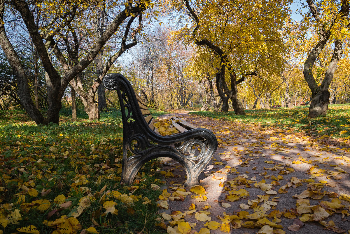 Осень в Коломенском. - Сергей Басов