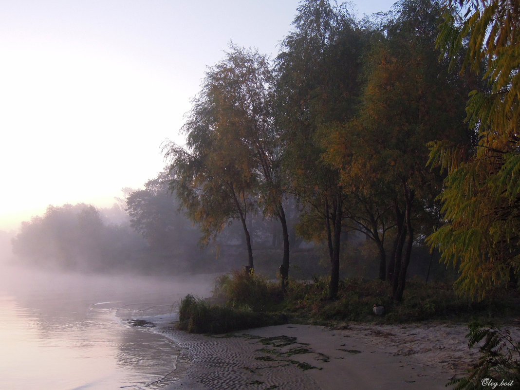 Рассветный туман над рекой... - Тамара Бедай 