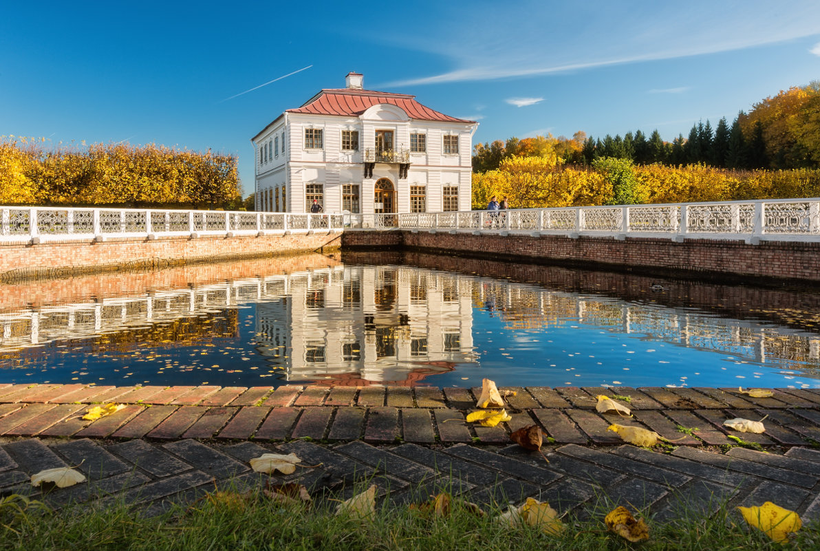 марли в санкт петербурге