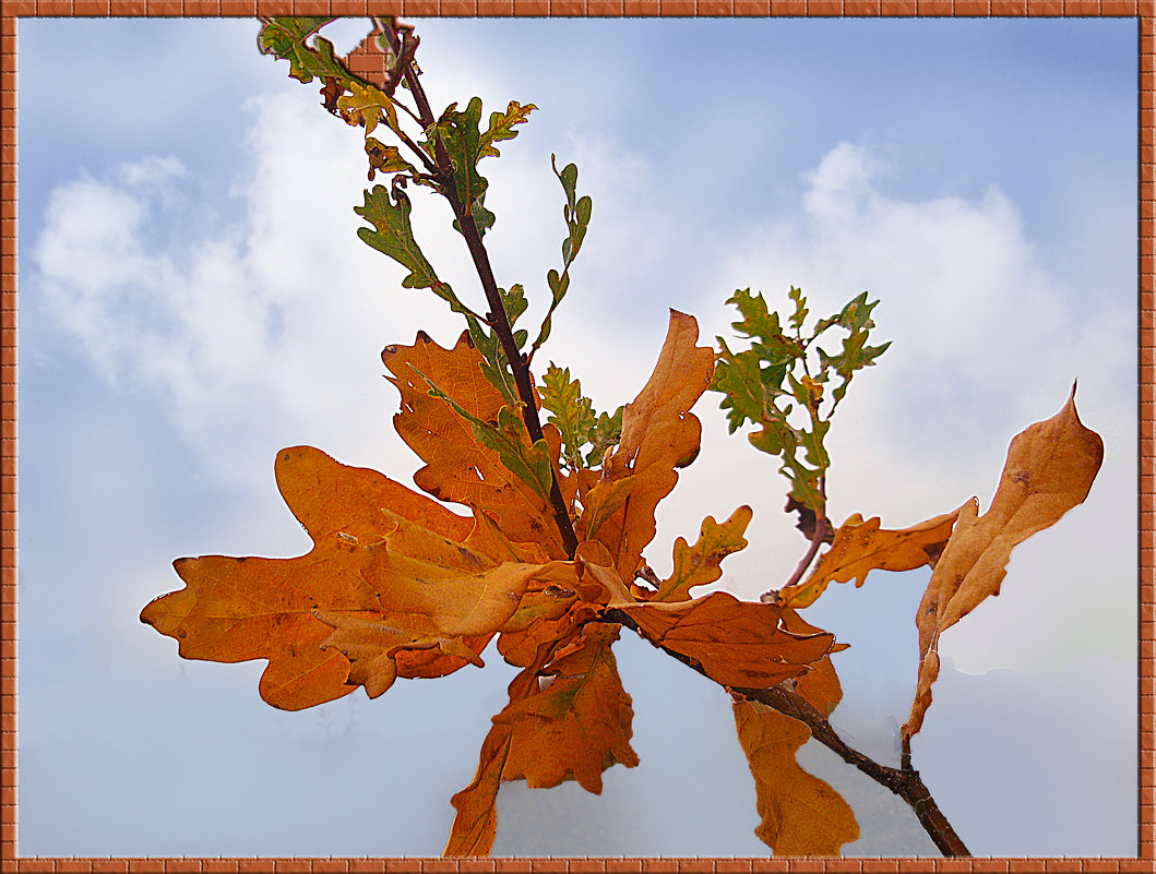 Осенние листья-картинка на стене - георгий  петькун 