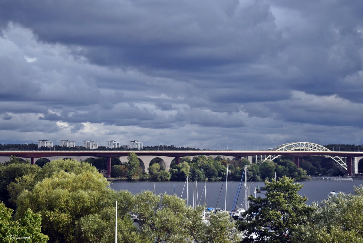 Мосты Стокгольма - Татьяна Ларионова