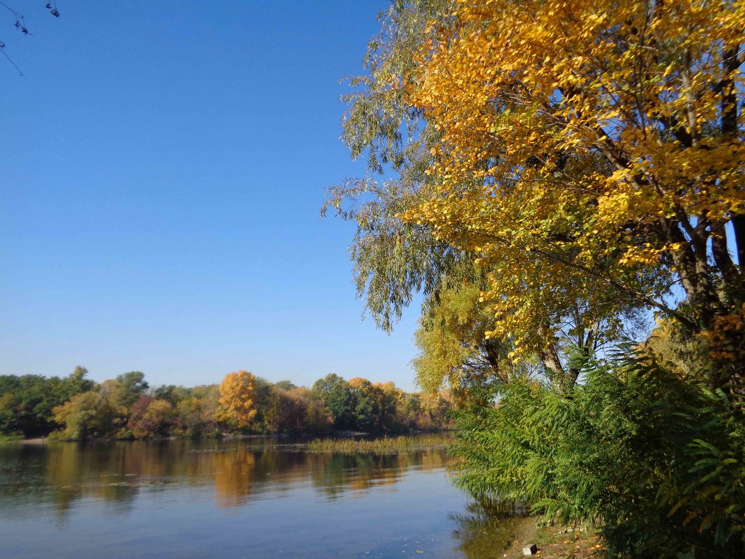 Осень в Киеве - Лара Амелина