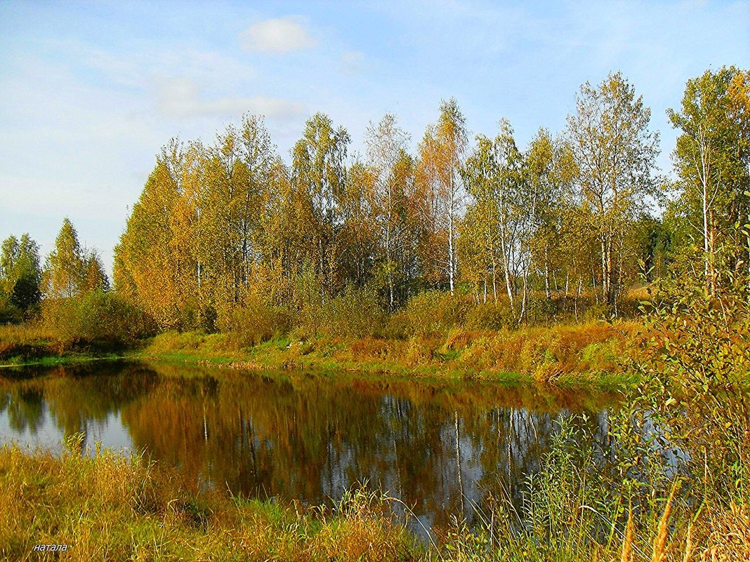 Осень у озера - Натала ***