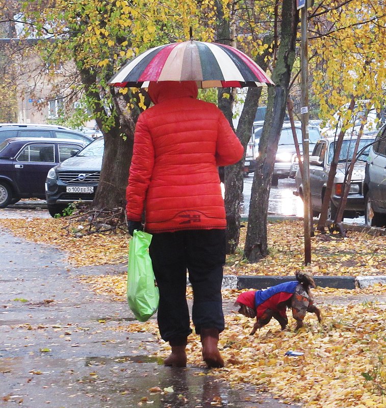 Им и дождь ни почём - Лариса 