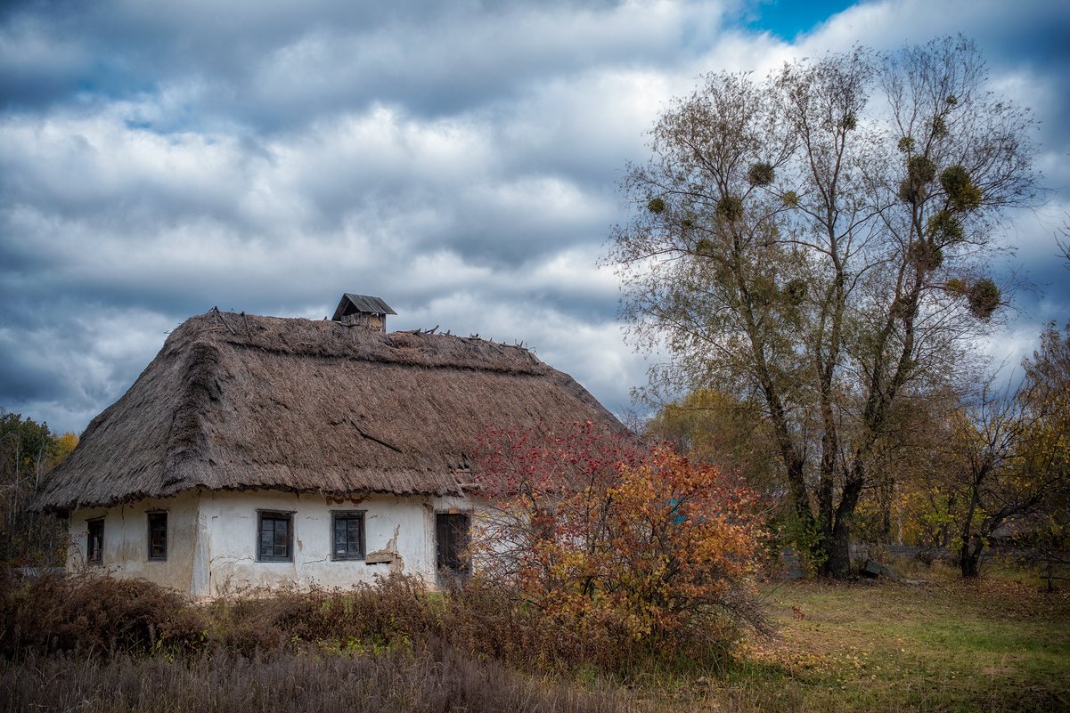 ... - Слава Украине