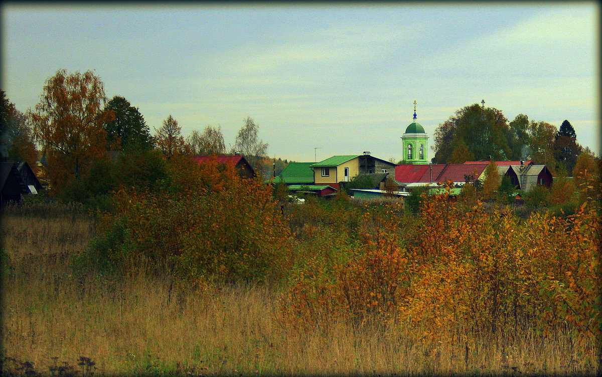 Село Рязанцы . - Любовь 