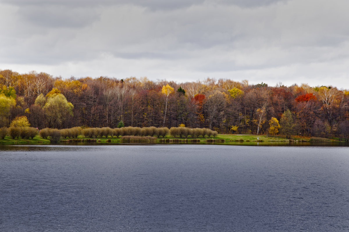 Autumn - Марианна Привроцкая www.zadnipryanaya.ru