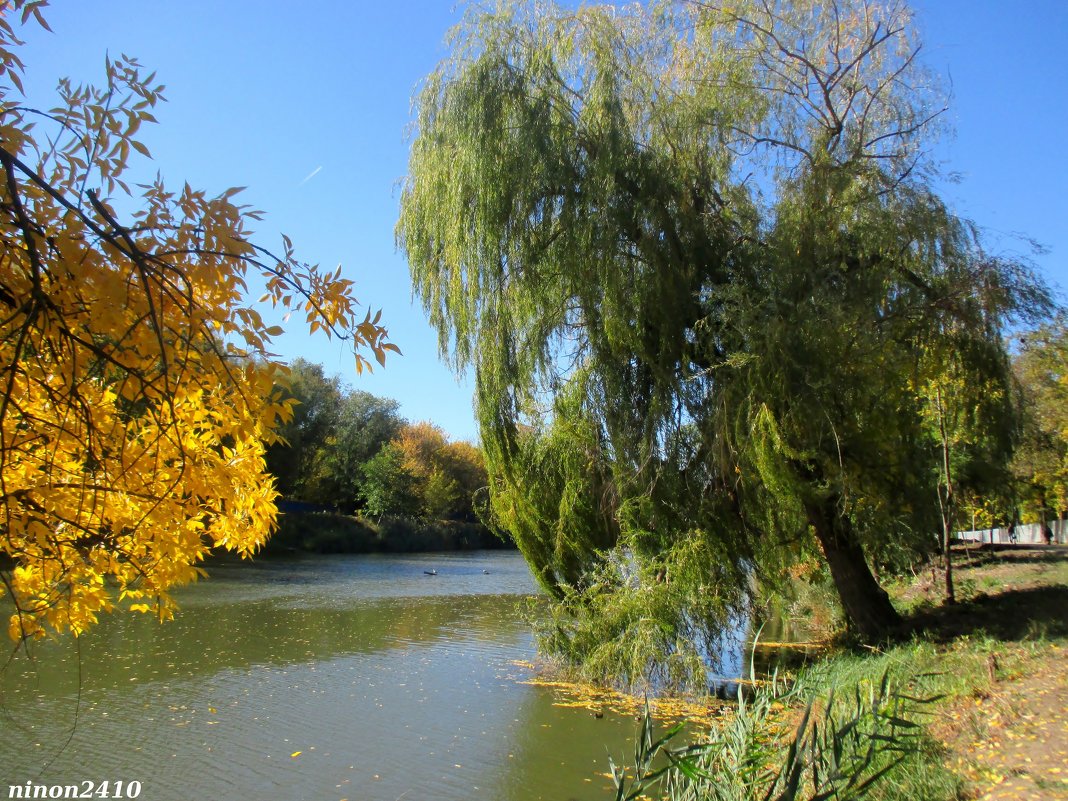 Осень у реки - Нина Бутко