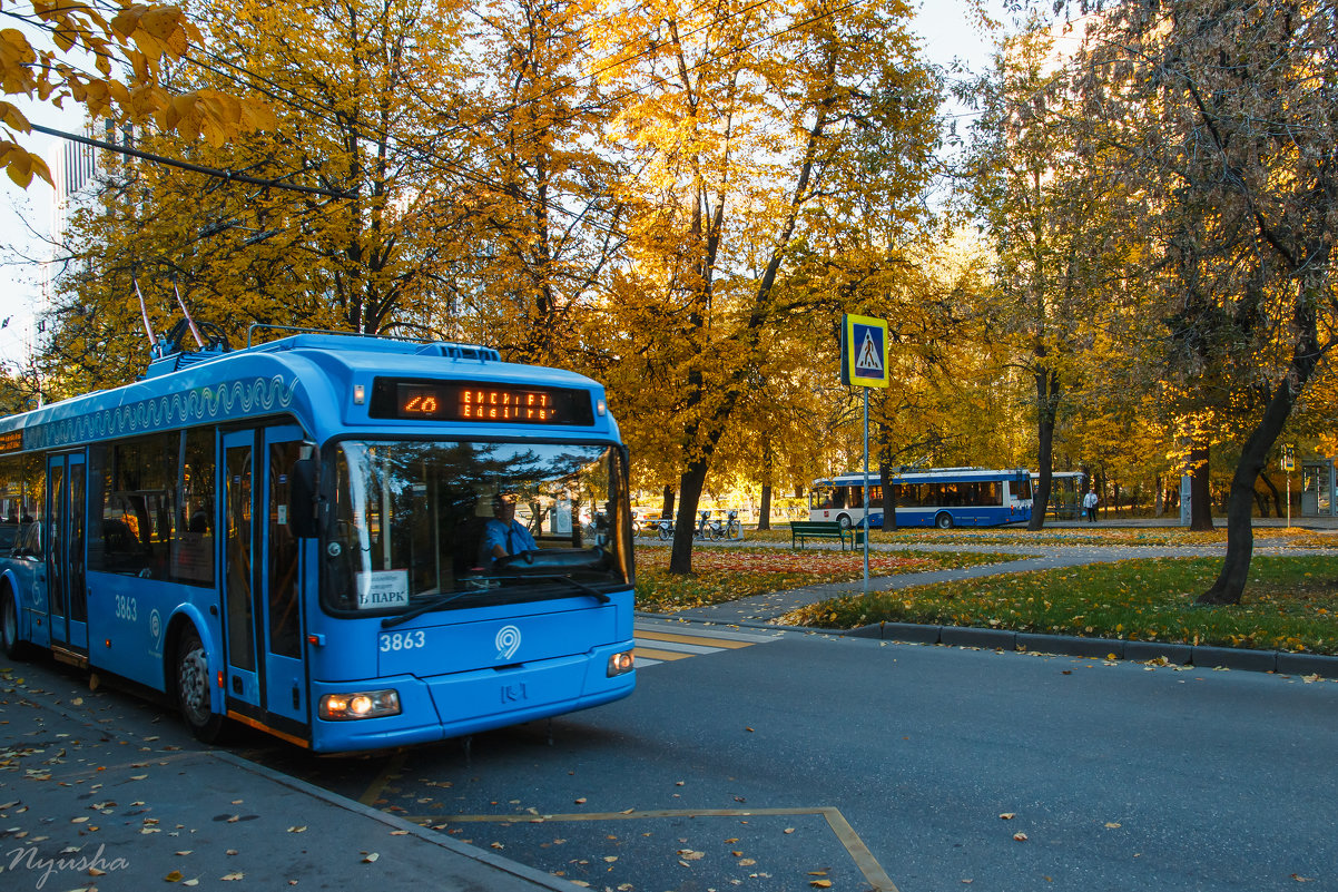 Синий троллейбус - Nyusha .