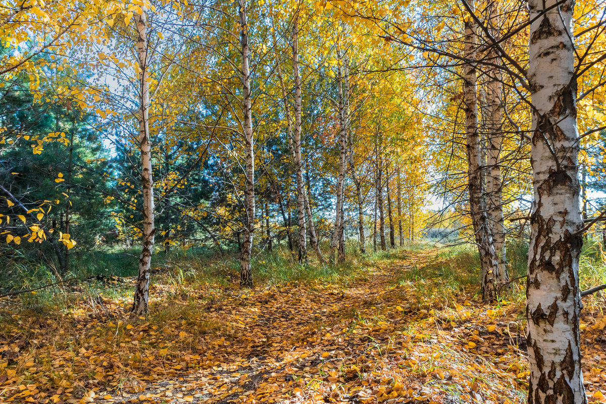 Краски осени - Cтанислав Анатольевич Курбатов