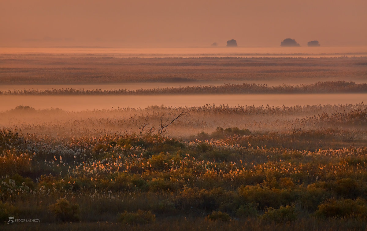 Осенняя фотоэкспедиция по Астраханскому заповеднику - Фёдор. Лашков