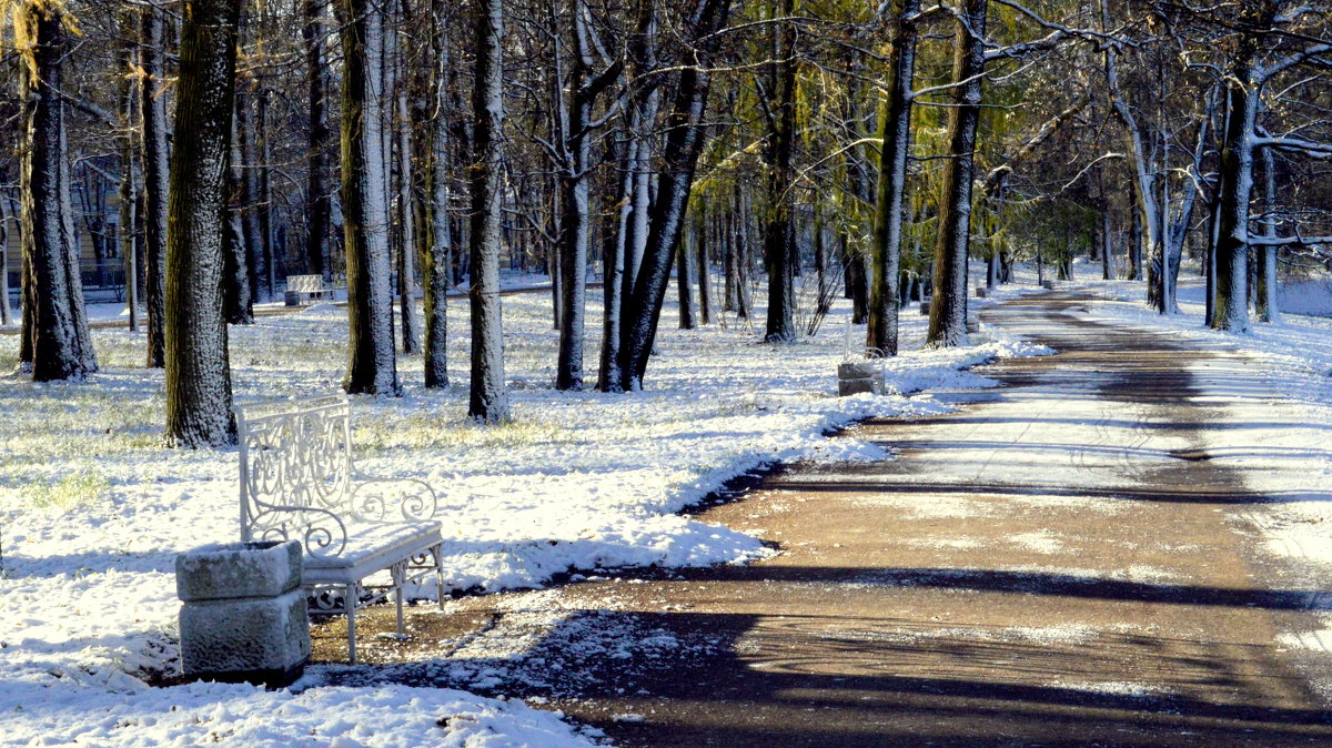В парке, выпал первый снег 15 - Сергей 