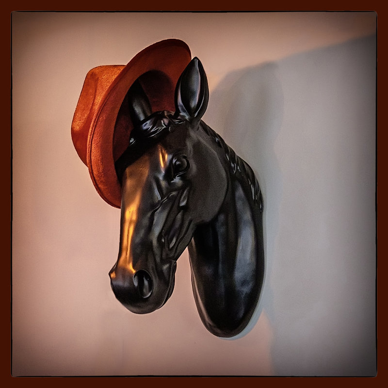 Лошадь в шляпке - Александр 