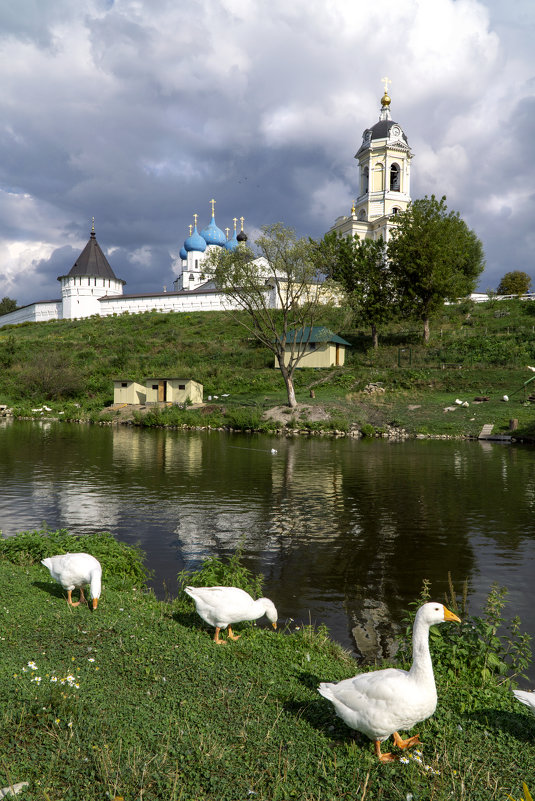 Высоцкий монастырь - Максим Ершов