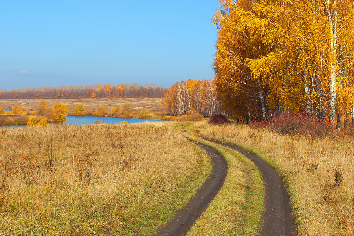 Осенняя дорога - Владимир 