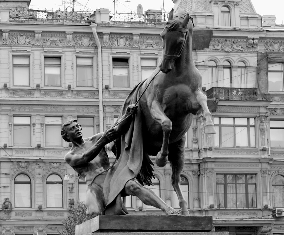 Санкт-Петербург.  Кони Аничкова  моста. - Galina Leskova