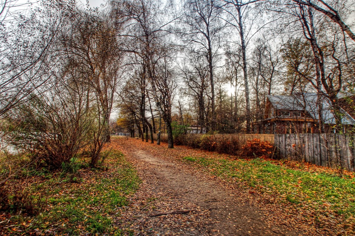 Дачные зарисовки - Наталья Лакомова