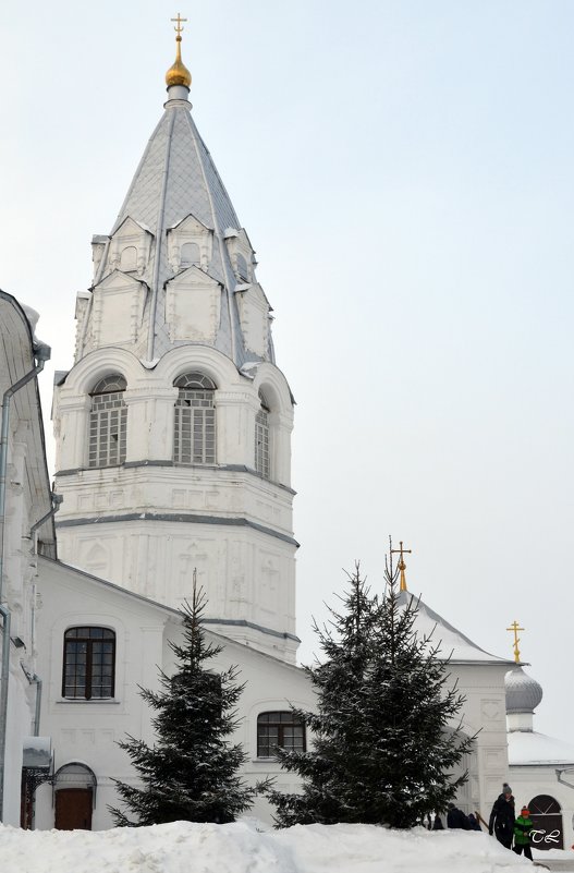 Переславль-Залесский. Никитский монастырь - Татьяна Ларионова