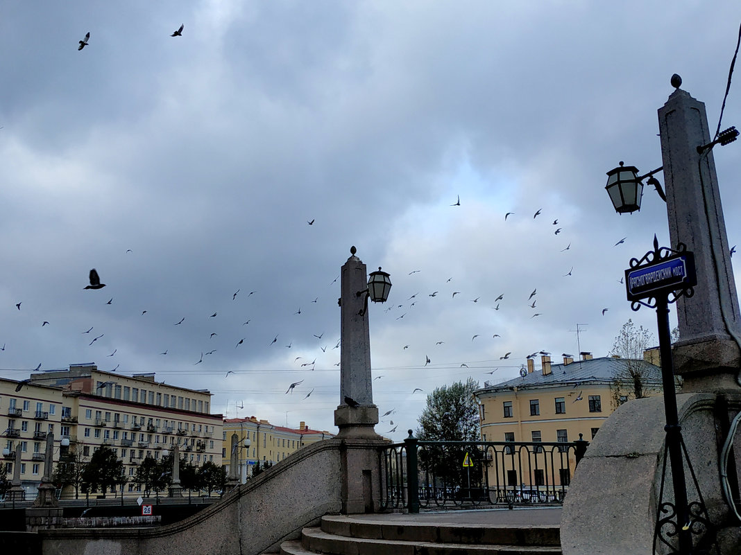 Красногвардейский мост - Ирина Фирсова