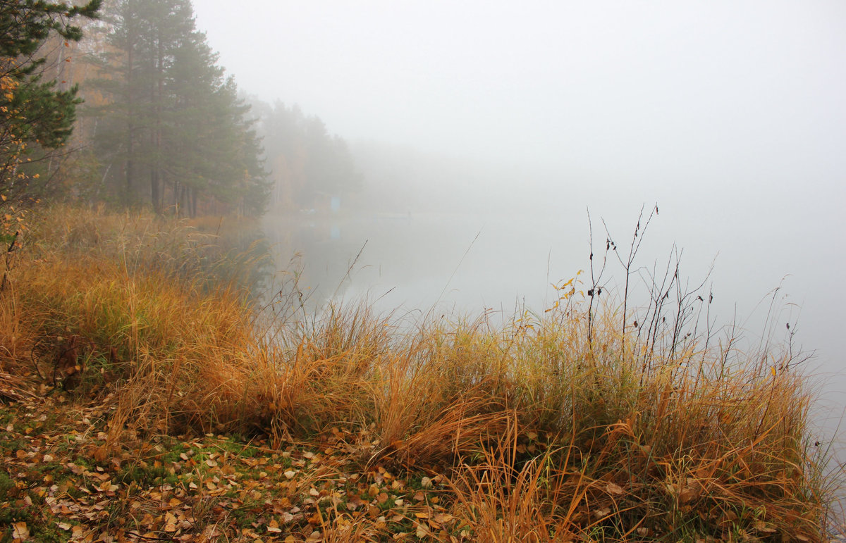 Осенний туман на озере Карась - Ната Волга