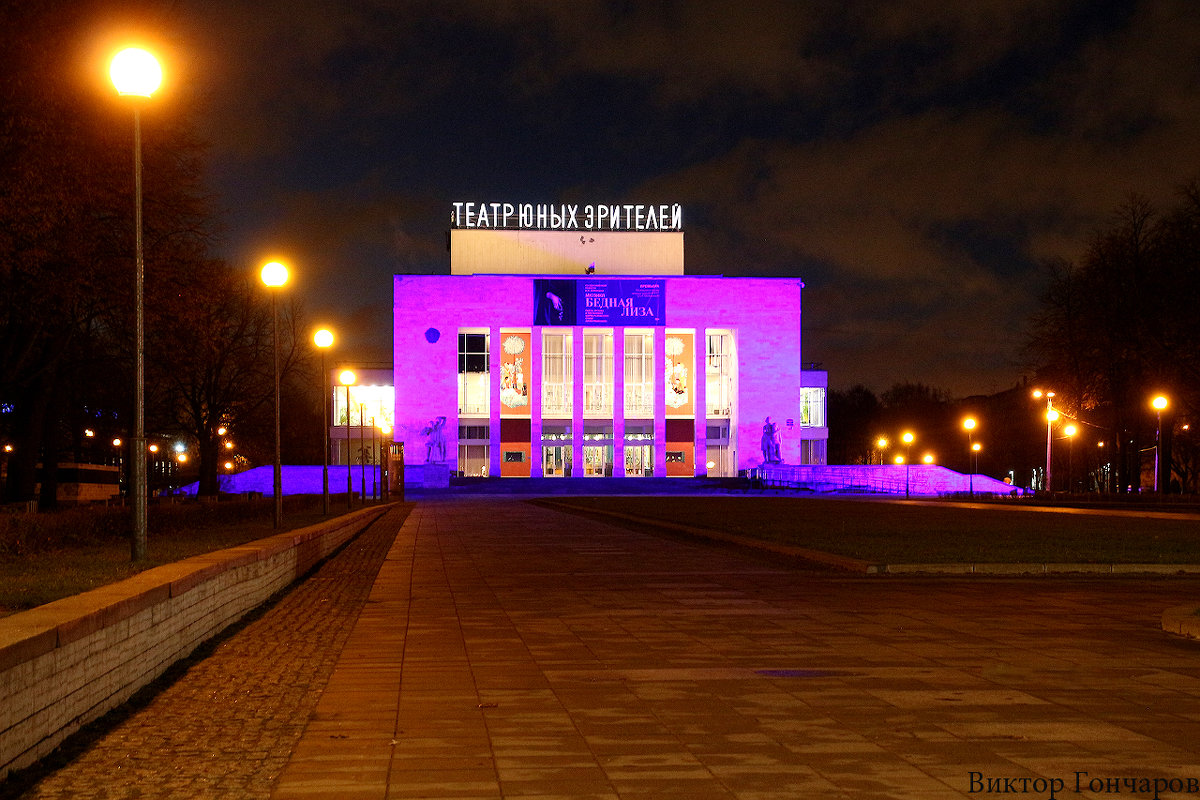 Театр юных зрителей,Санкт Петербург,Пионерская площадь - Laryan1 