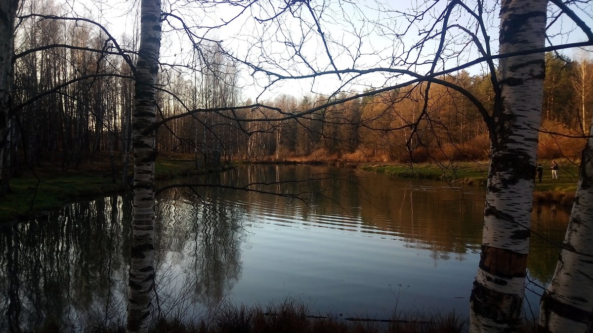 В ноябре у реки - Елена Павлова (Смолова)