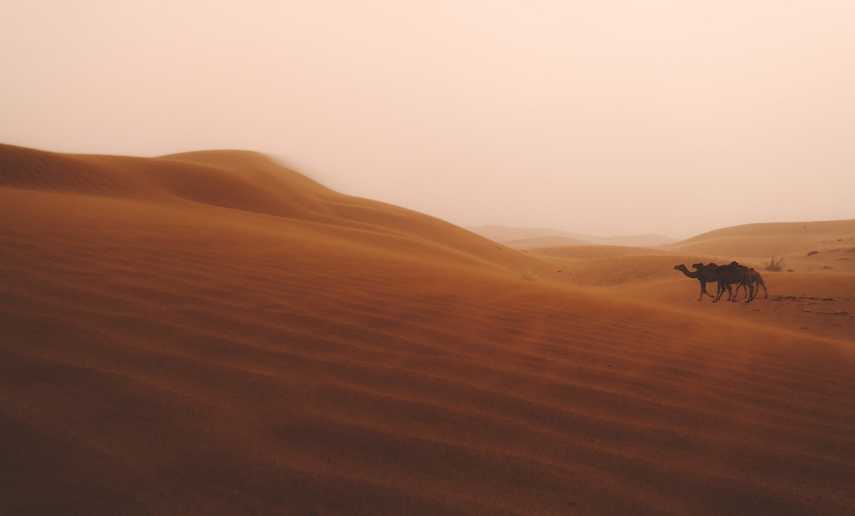 Пыльная (песчаная) буря... пустыня Деште-Лут.Иран! - Александр Вивчарик