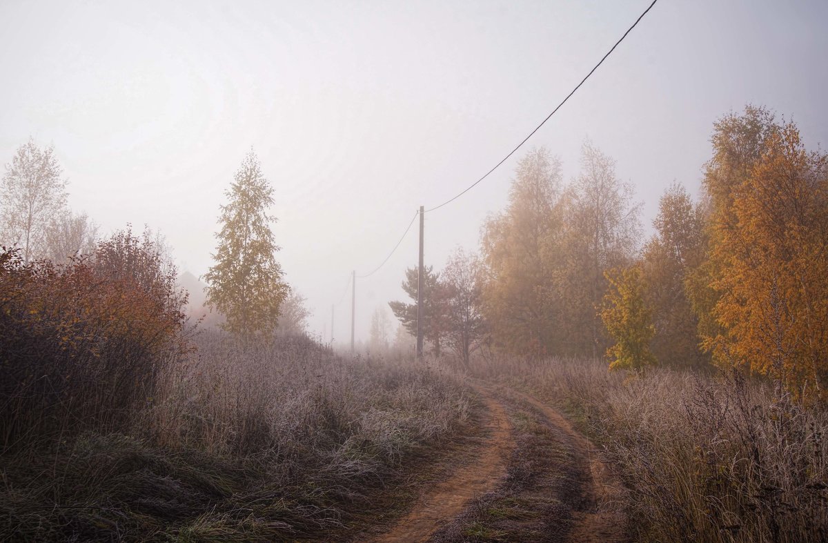Светлый туман - Владимир Макаров