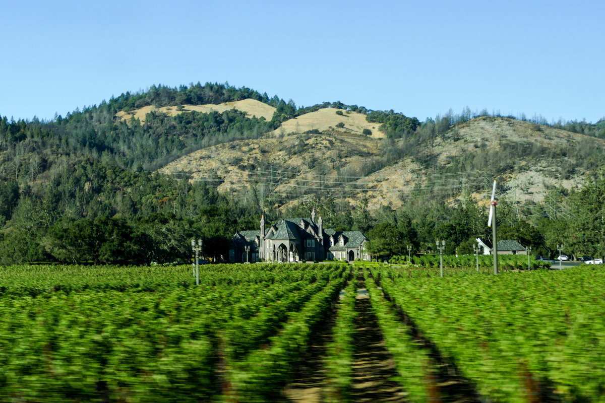 Какой-то красивый замок за виноградниками, Калифорния - Юрий Поляков