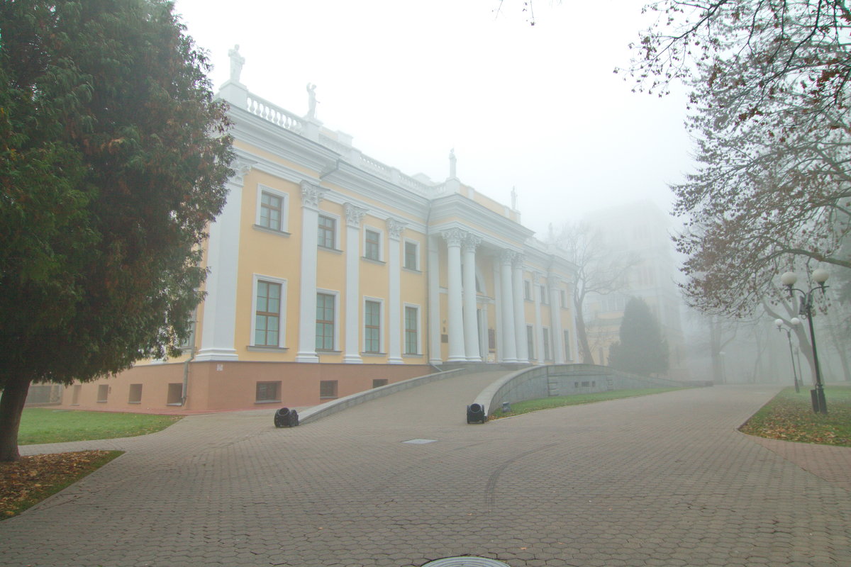 дворец утром туманным - Владимир Зырянов