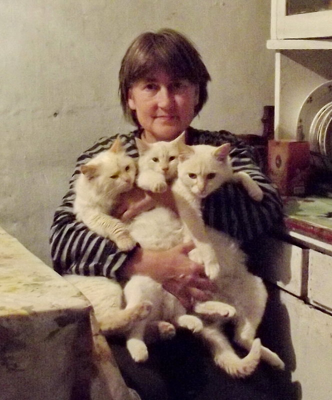 Три белых кота, ах три белых кота... - Светлана Рябова-Шатунова