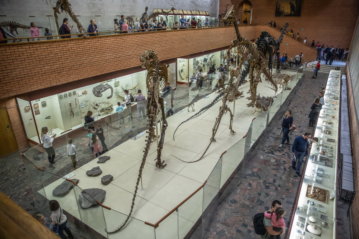 Музей палеонтологии Москва - юрий макаров