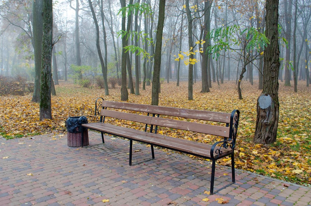 В парке осень - Сергей Тарабара