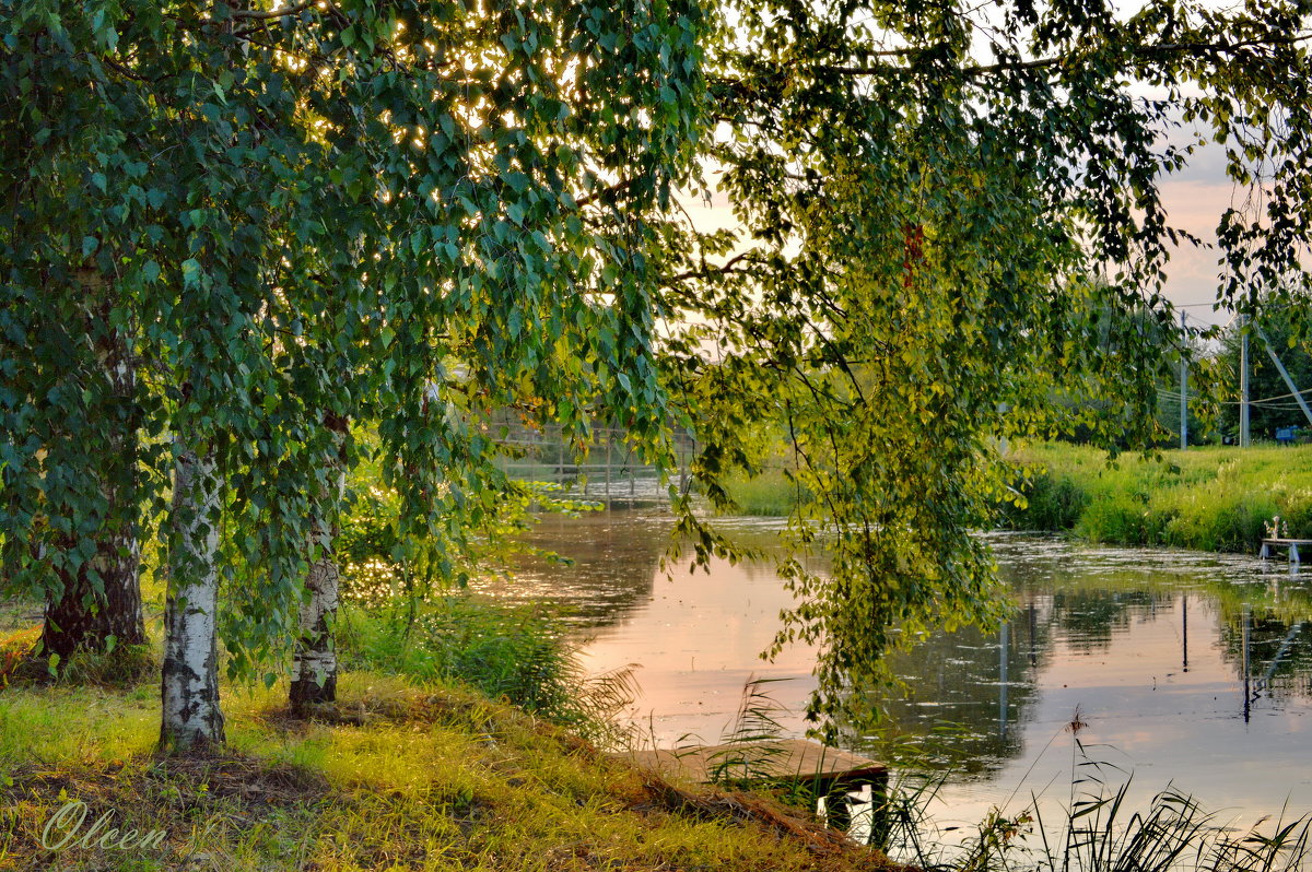 Летний вечер у реки - Olcen Len