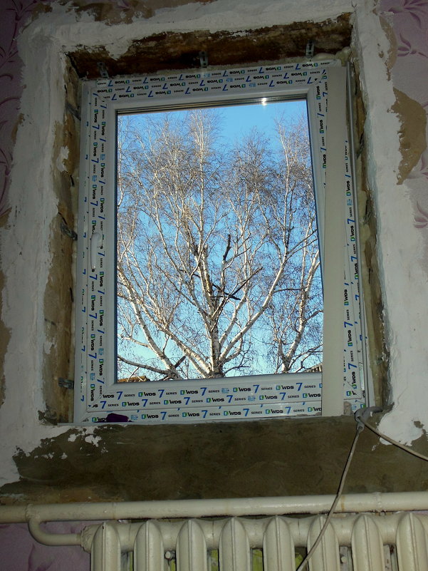 Вид в окне - Анцупов Сергей 