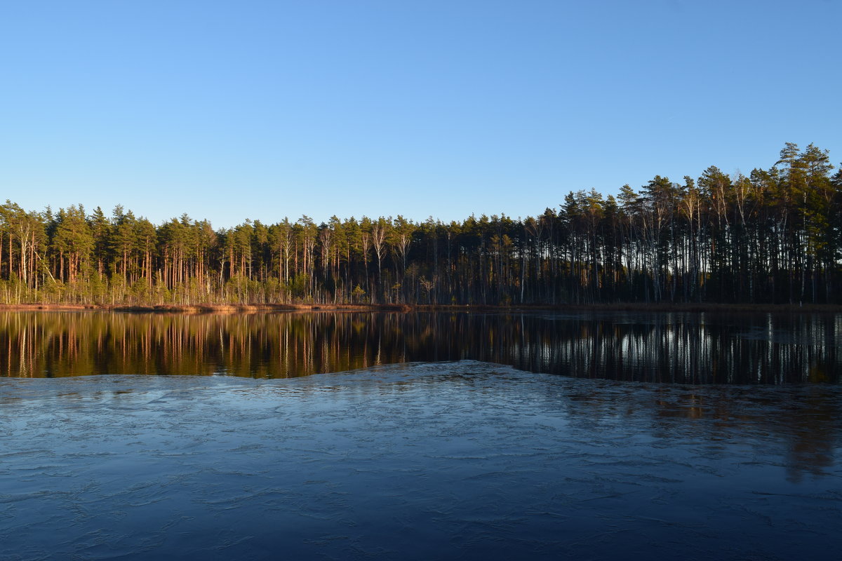 Лесное озеро в ноябре. - Григорий Вагун*